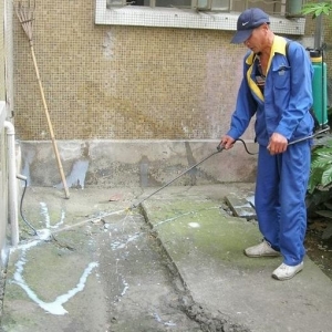 深圳白蚁防治所 灭白蚁消杀除四害公司，全深圳上门服务